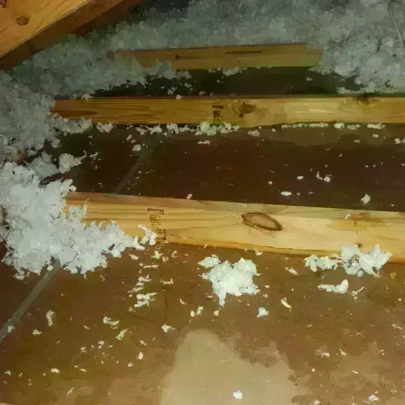 Attic Water Damage in Bronson, MI