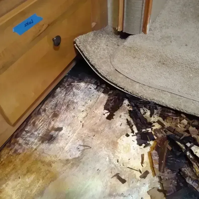 Wood Floor Water Damage in Bronson, MI